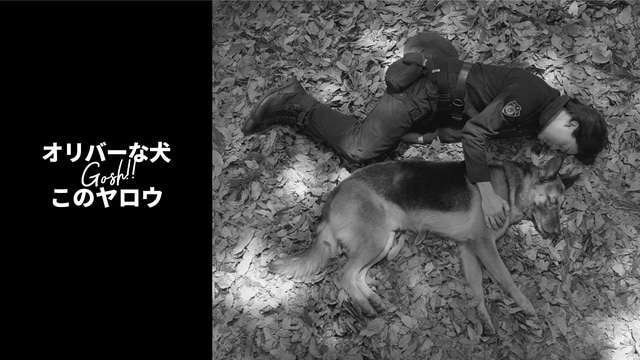 【実況・感想】【ドラマ10】オリバーな犬、（Gosh!!）このヤロウ　シーズン2（6） 最終回