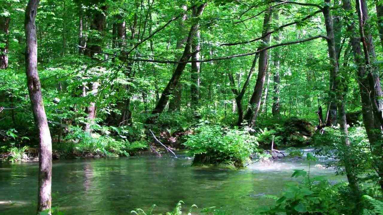 愛のオルゴール:フランク ミルズ - YouTube