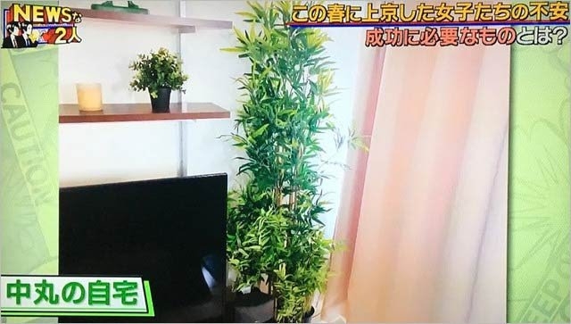 菅田将暉&小松菜奈夫妻も…“コンビニ感覚”で海外移住を目指す芸能人が増えたワケ