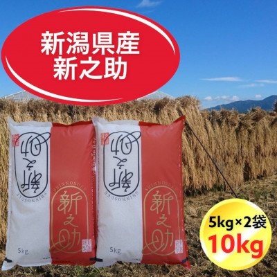ふるさと納税 胎内市 新潟県胎内市産新之助10kg(5kg×2袋)(精米) :1261530:さとふる - 通販 - Yahoo!ショッピング