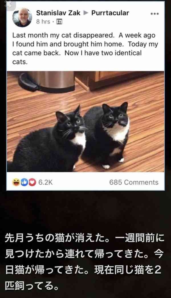 似た者同士がくっつくんだな。と思ったエピソード