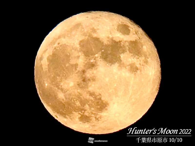 10月の満月「ハンターズムーン」 秋の夜長に浮かぶ - 記事詳細｜Infoseekニュース