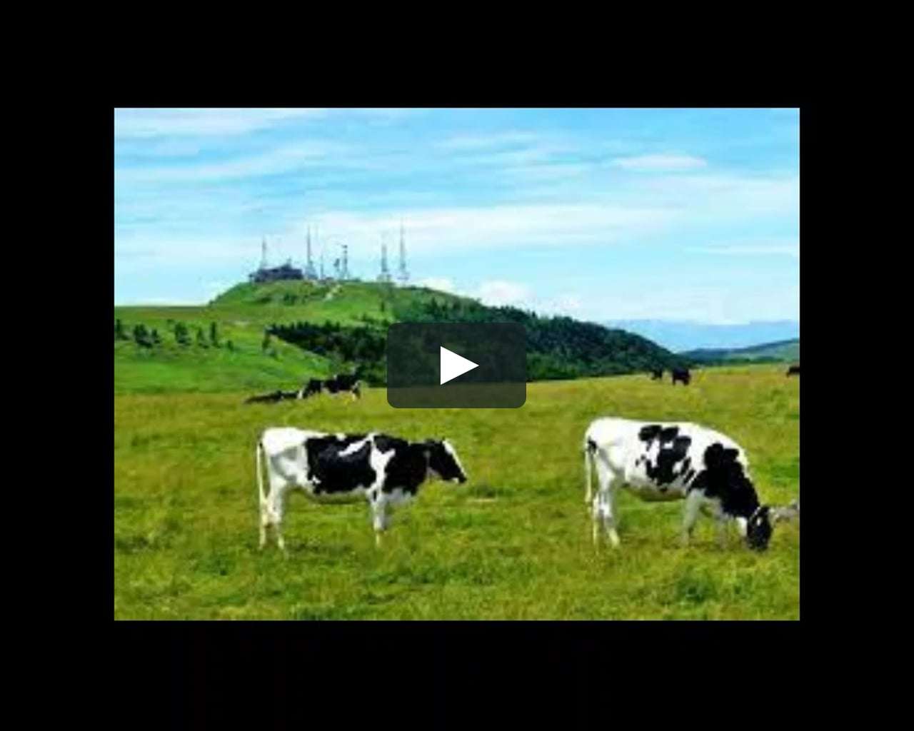 マイビデオ-1.mp4 on Vimeo