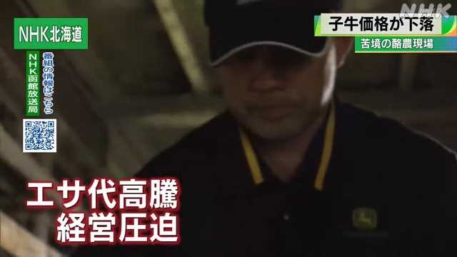 北海道 肉用子牛価格下落で酪農家打撃｜NHK 北海道のニュース