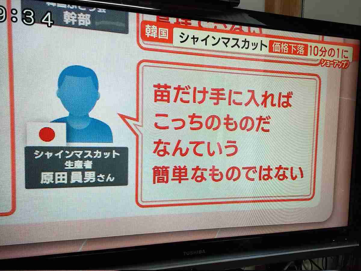 物価高対策で予備費3.5兆円 「5万円給付」、病床確保も―政府