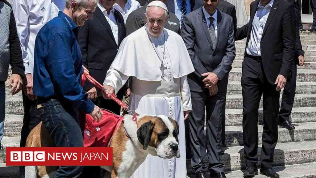 ローマ教皇、子どもを持たずにペットを飼うのは「身勝手」 - BBCニュース