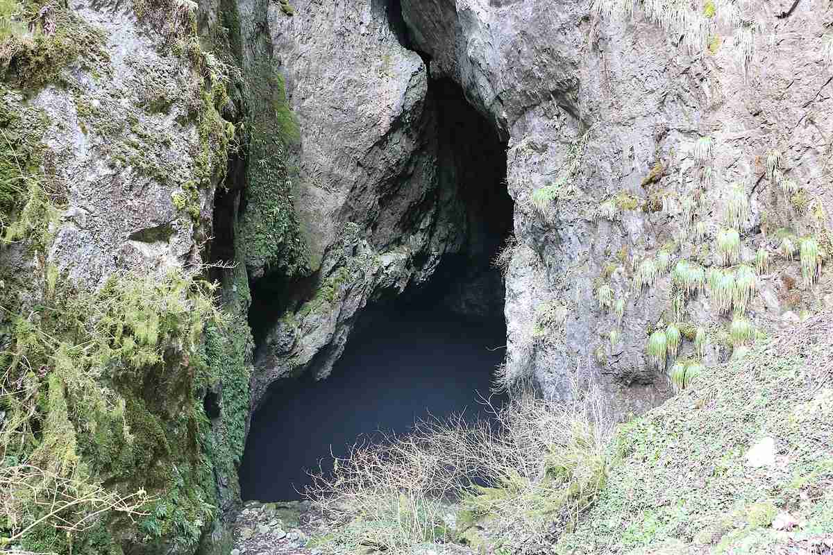 岡山地底湖行方不明事故 - Wikipedia