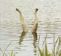 村社会の恐ろしさ