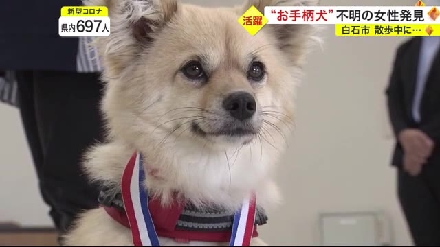 “お手柄犬”不明の女性発見　散歩中に突然‥〈宮城・白石市〉（仙台放送） - Yahoo!ニュース