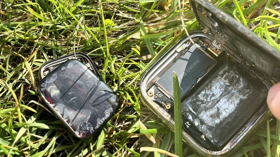 Apple Watchが突如高温になり爆発する事態が発生、Appleはユーザーの口止めを試みる - GIGAZINE