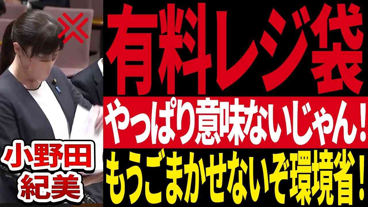 【小野田紀美】やっぱり意味なかったレジ袋有料化!それどころか悪化してる!?小野田紀美の鋭い答弁! - YouTube