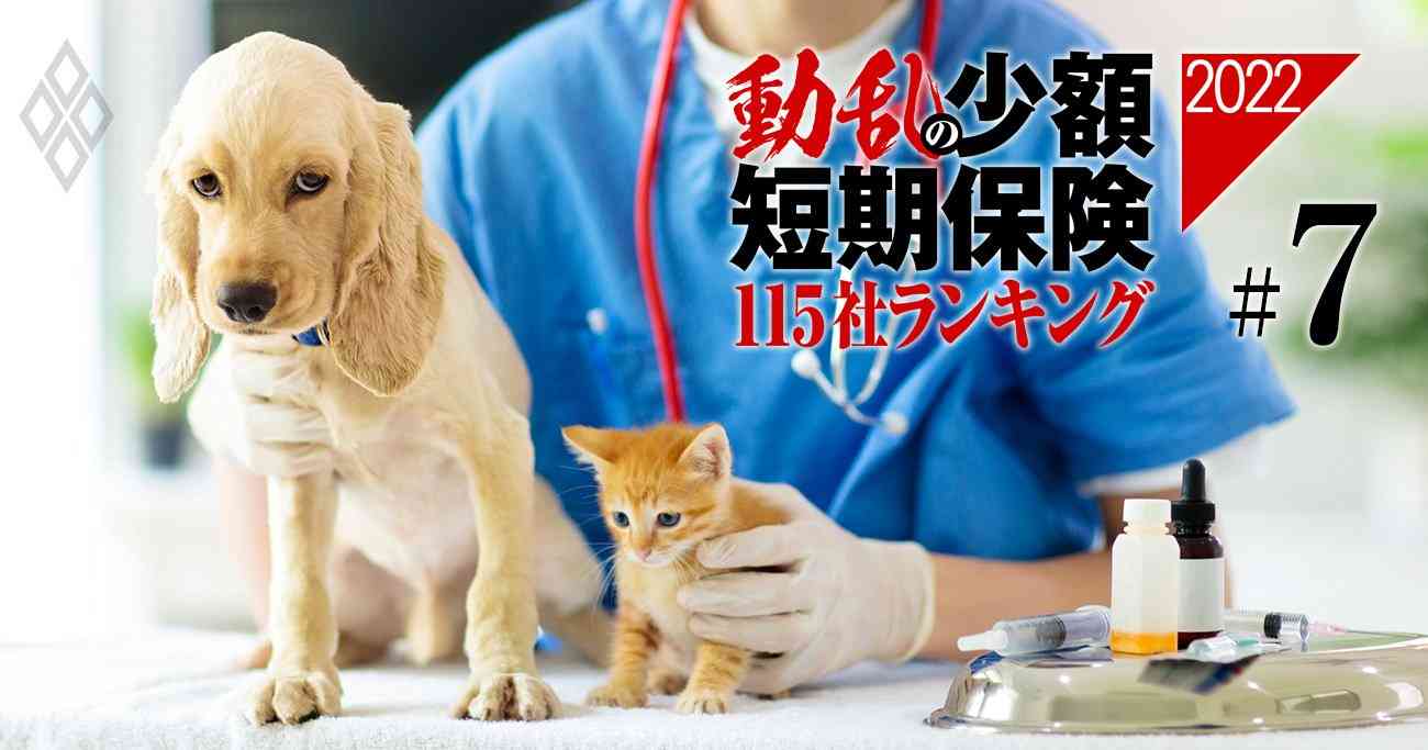 ペット保険、ペッツベストが2度目の業務停止の末に破綻で「大淘汰時代」に現実味 | 動乱の少額短期保険 115社ランキング2022 | ダイヤモンド・オンライン