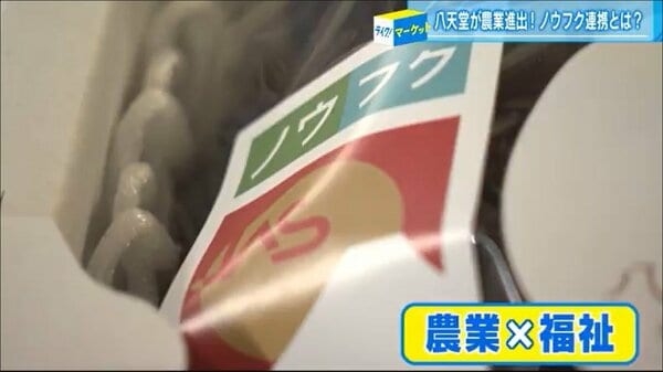 荒れたぶどう園を有名パン会社が再生 引きこもりや障害者雇用で「農福連携」 ビジネスと社会貢献の両立へ【広島発】｜FNNプライムオンライン