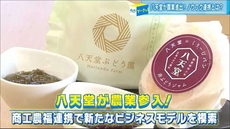 荒れたぶどう園を有名パン会社が再生 引きこもりや障害者雇用で「農福連携」 ビジネスと社会貢献の両立へ【広島発】