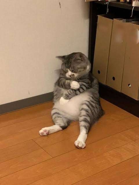 コロナワクチン四回目打った人〜
