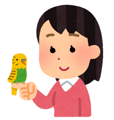 【インコ・オウム】鳥を飼っている人【文鳥・フィンチ類】