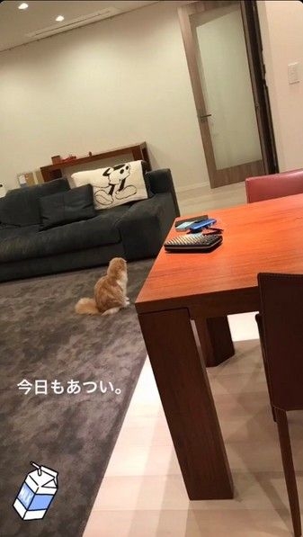 ここ最近ガルちゃんでコメントしてなかった人