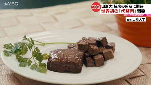 コメのたんぱく質から世界初の「代替肉」国内自給可能・山形大