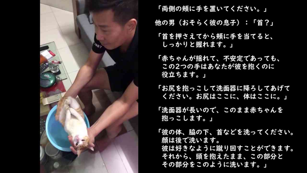 赤ちゃんの入浴方法を教えるおじいちゃんと、赤ちゃん役の助手（ネコがお手本！“お風呂の入れ方”レッスン）Cat helps teaching baby bathing (Japanese 日本語訳) - YouTube