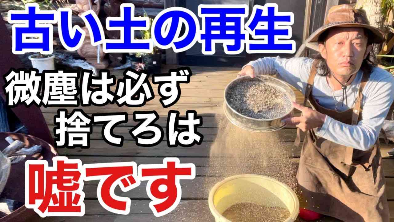 【みんなの疑問】古い土の微塵は捨てれないのでリサイクルします　　　【カーメン君】【園芸】【ガーデニング】【初心者】【古い土の再生】 - YouTube
