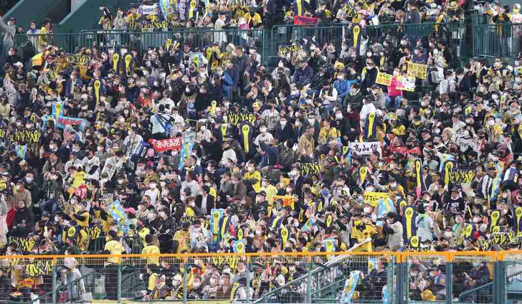 阪神戦でファンがスマホライトで試合を“妨害”　法的責任について元球児の弁護士の見解は？(1/2)〈dot.〉 | AERA dot. (アエラドット) 