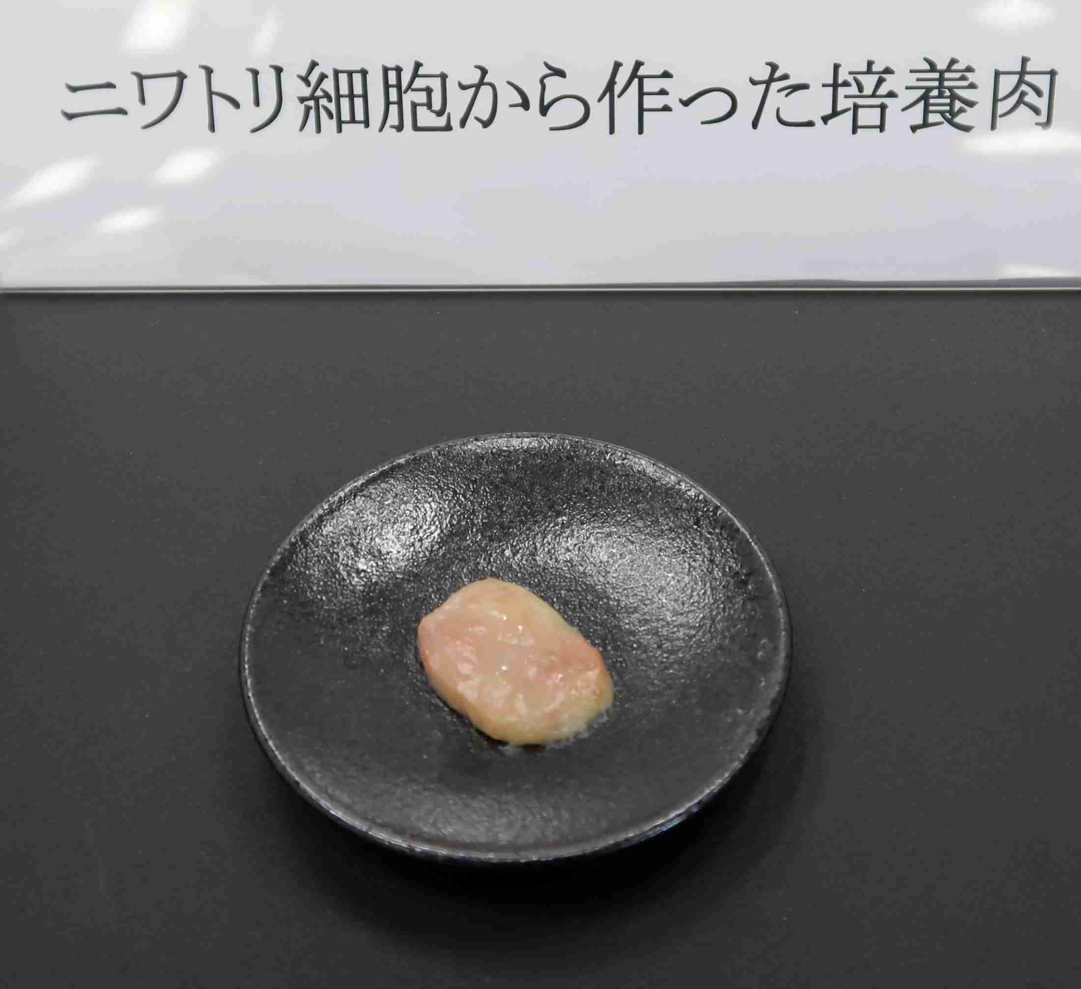 日本ハム「培養肉」主成分を開発　商用化へ前進（共同通信） - Yahoo!ニュース