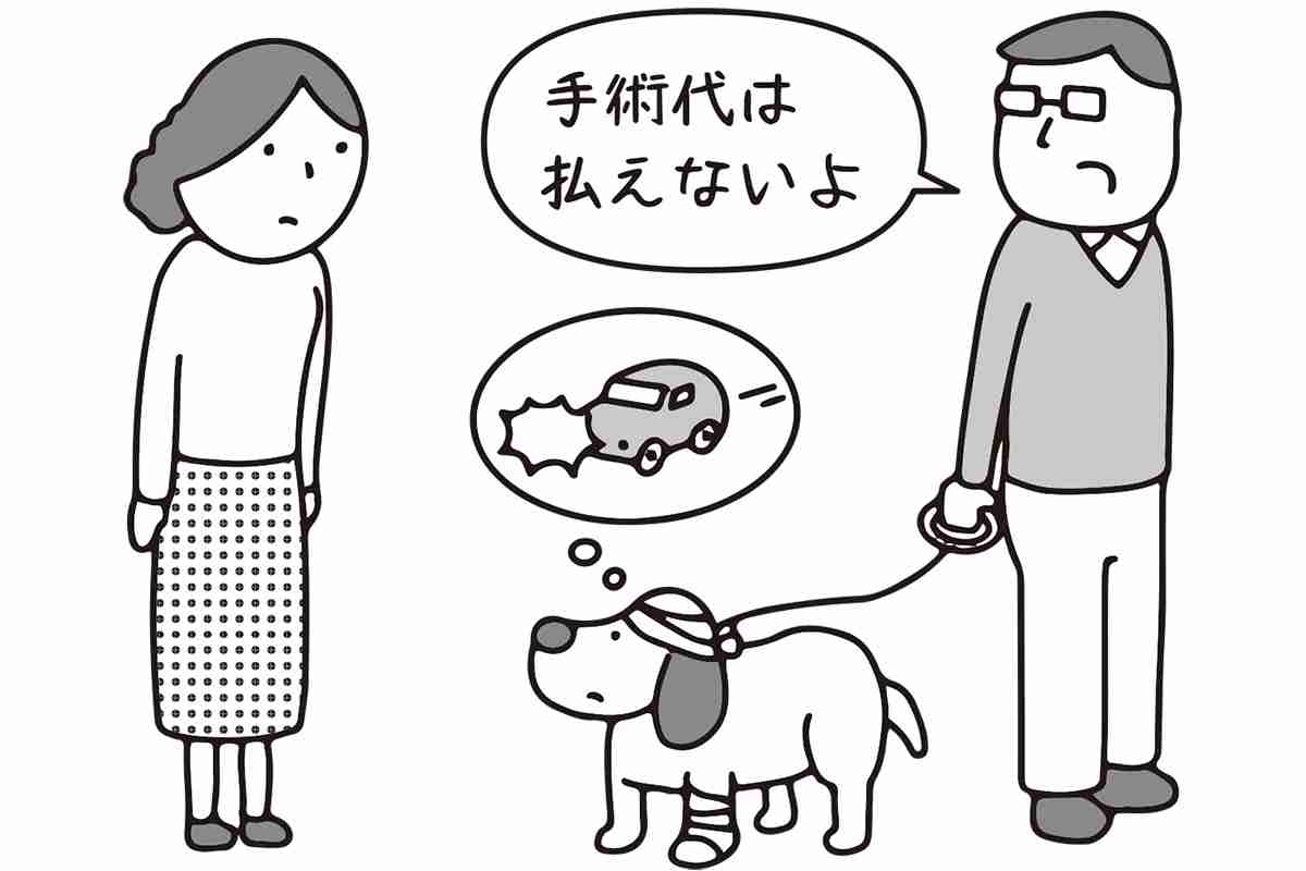 怪我した迷子犬を救助、飼い主を見つけて治療費請求したら支払い拒否…どうすればいいのか弁護士が解説 | マネーポストWEB