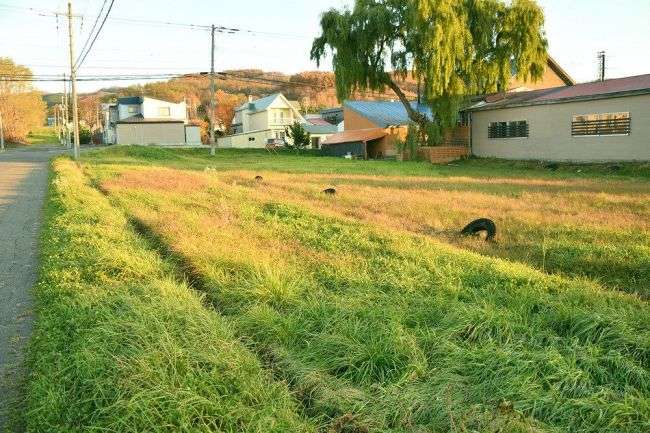美唄市、私有地に長年雪捨て　委託業者が無断放置　所有の企業は抗議：北海道新聞 どうしん電子版
