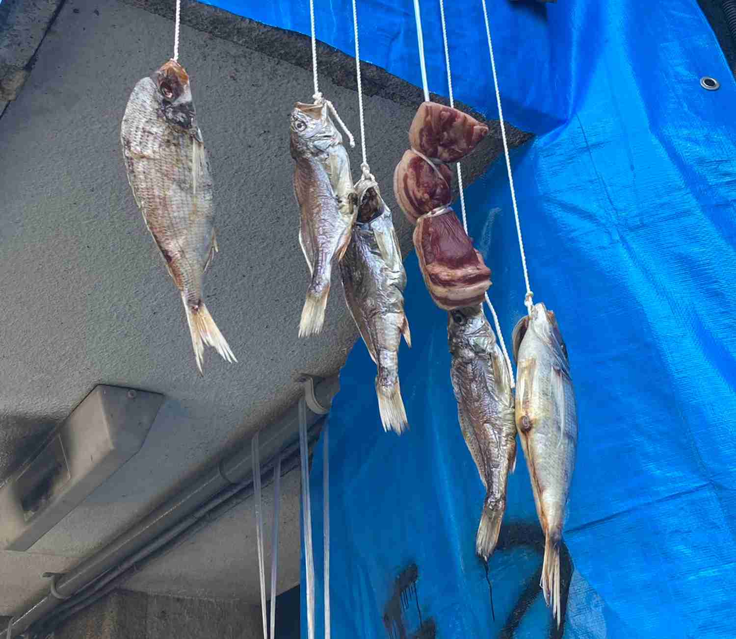 生魚の異臭が…東京屈指の“高級住宅街”で地上げトラブル「バブル期並みの悪質さ」 | bizSPA!フレッシュ