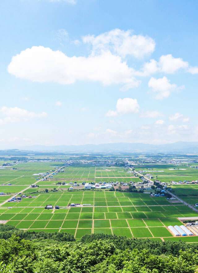 鉄道も国道も水道も無ェ…そんな北海道のド田舎に都会の子育て世代が次々と移住しているワケ