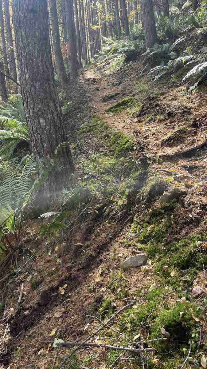 登山道でのマウンテンバイク走行が物議 ルール制定難しく、マナー任せの現状も