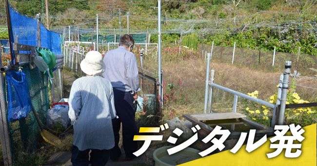 ＜デジタル発＞「顔がなくなる」ヒグマ襲撃の恐怖　松前の被害夫妻が回顧：北海道新聞 どうしん電子版