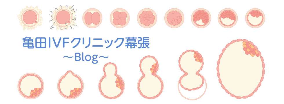 妊娠中の加工食品摂取頻度は死産率と関係する？（論文紹介） - 亀田IVFクリニック幕張のブログー妊娠・体外受精ー
