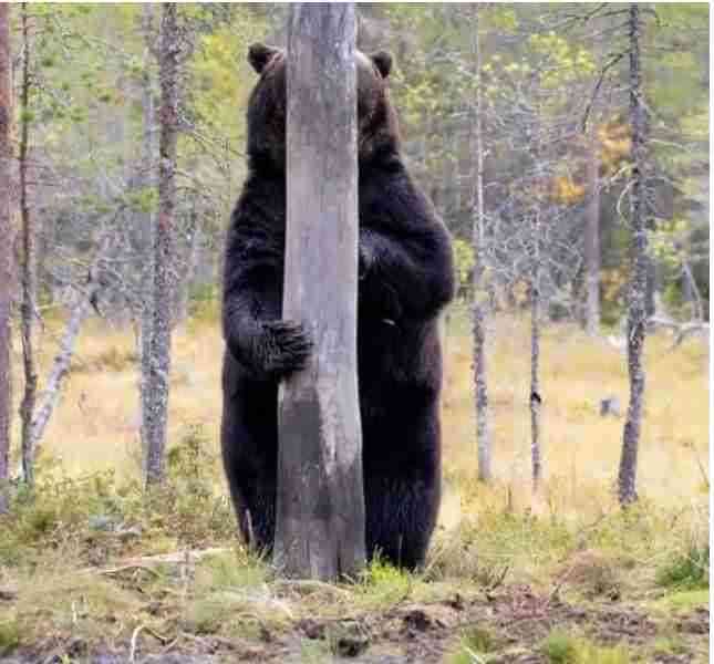 クマを隠すコンシーラーの時間がめっちゃかかる