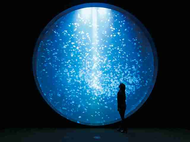 名物や名所、地元の人が行って食べてるおすすめなもの