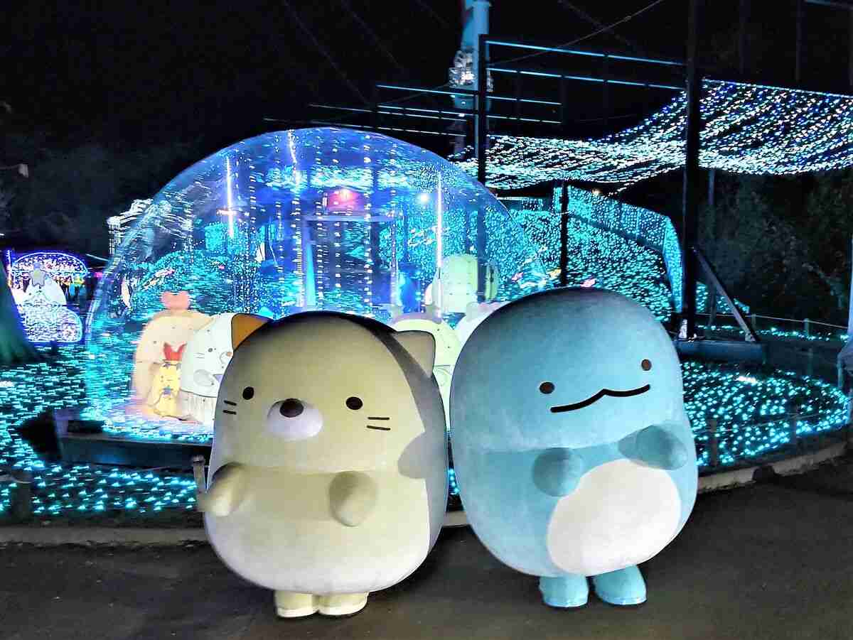「すみっコぐらし」初のイルミネーションイベント“相模湖の森”の遊園地で12日開幕！関東最大級600万球の光の輝きでファン魅了！