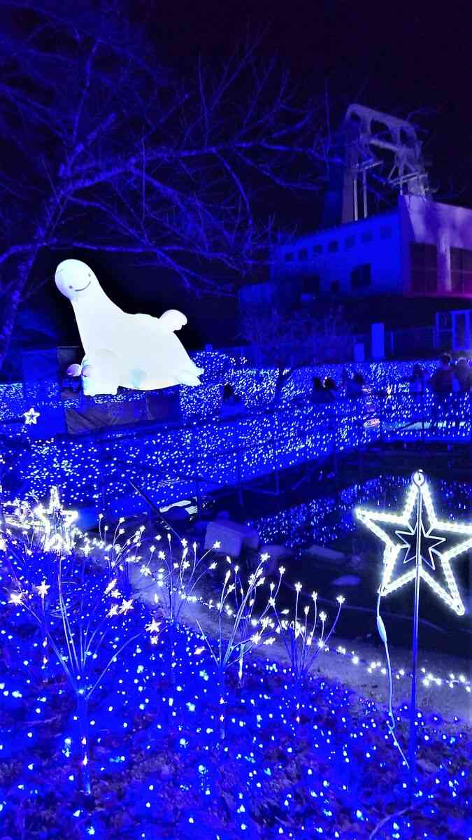 「すみっコぐらし」初のイルミネーションイベント“相模湖の森”の遊園地で１２日開幕！関東最大級６００万球の光の輝きでファン魅了！ : スポーツ報知