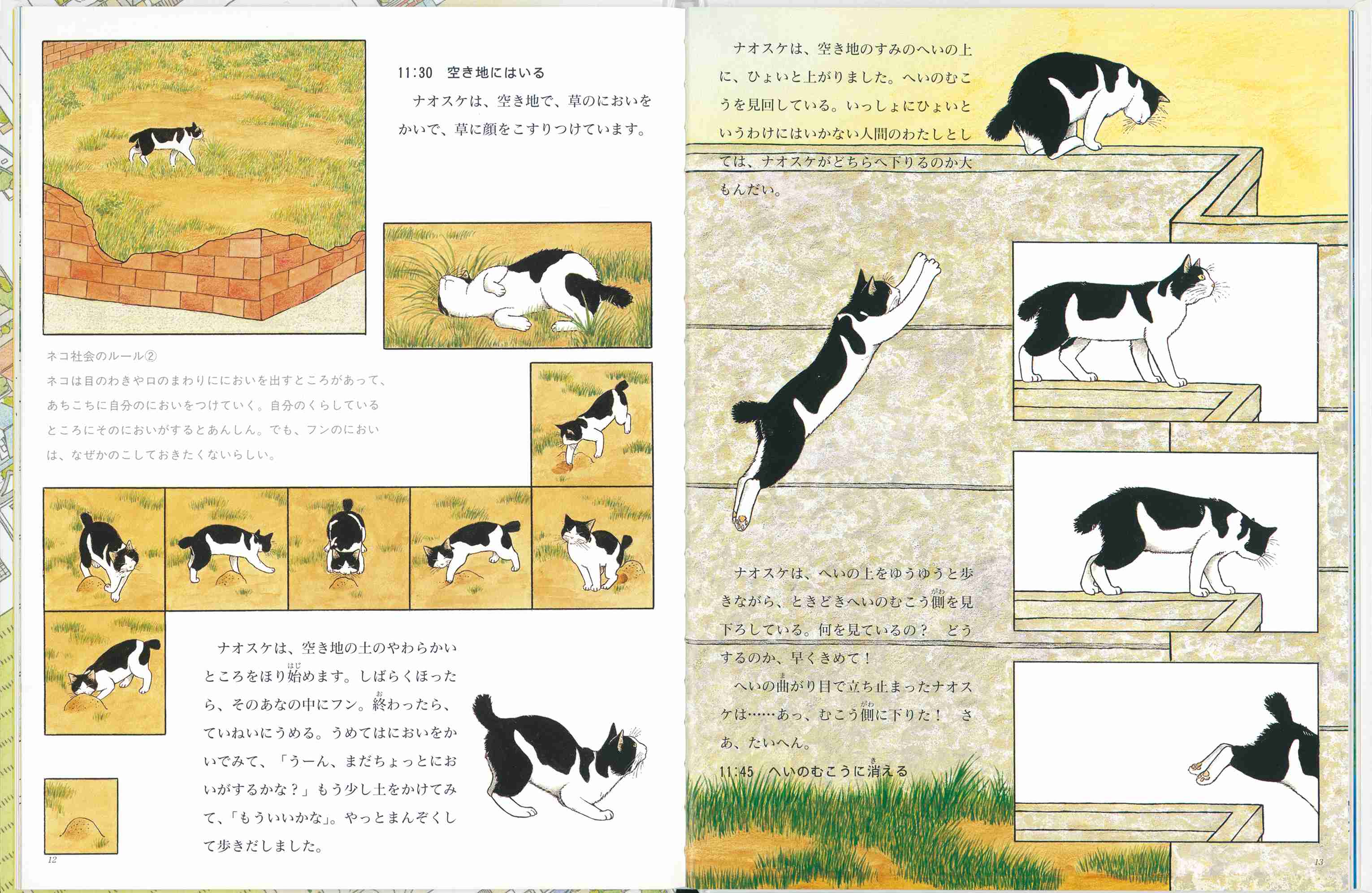 知的好奇心がみたされる本