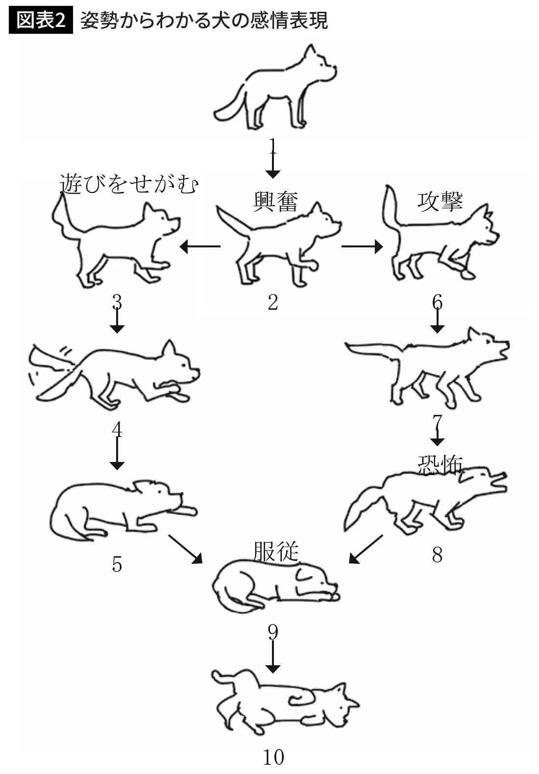 「シッポを振る犬は喜んでいる」には根拠がない…科学的エビデンスにもとづく犬の正しい接し方