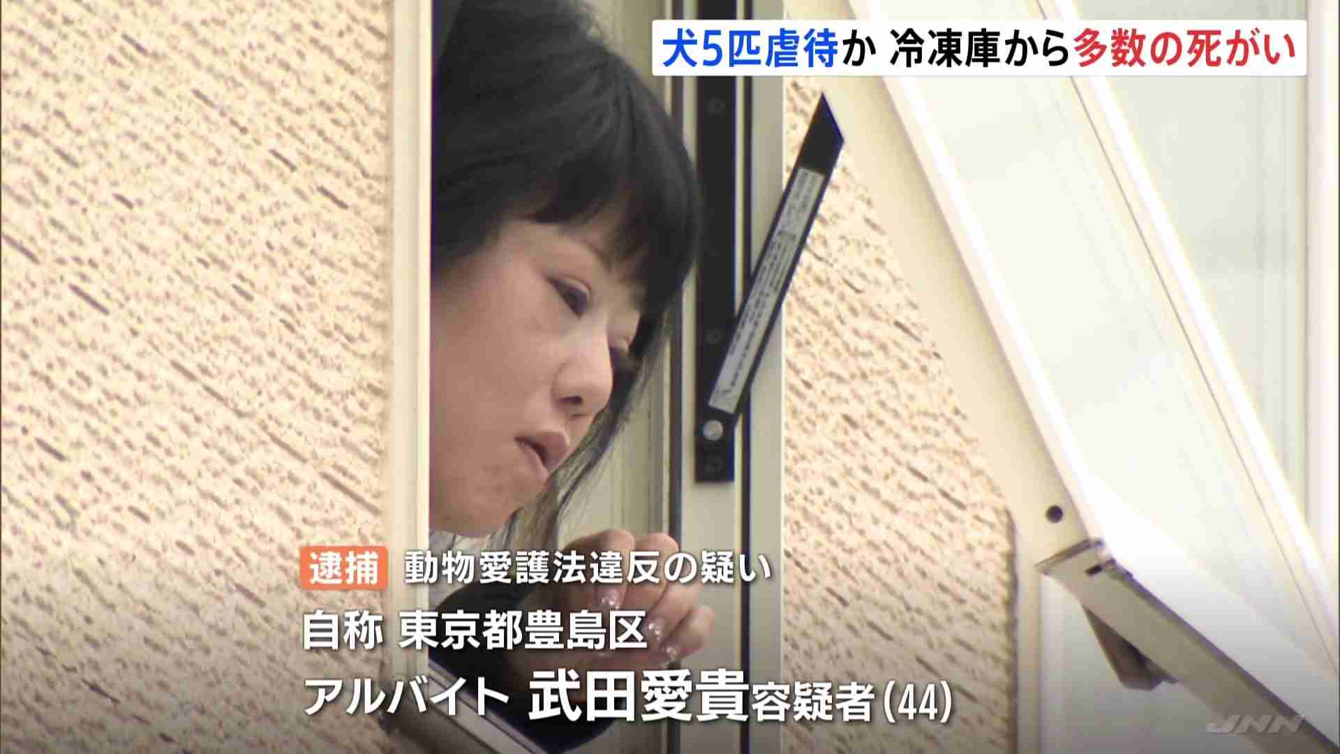 冷凍庫から多数の犬の死がい 犬5匹虐待か ドッグサロン経営の女逮捕 | TBS NEWS DIG (1ページ)