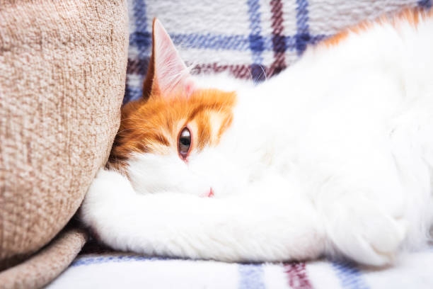 寒いけど元気にいきたい！