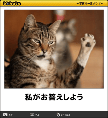 【ネタトピ】動物に質問するとその動物がアンカーを付けて答えてくれるかもしれないトピ