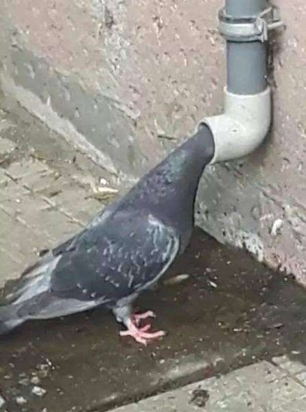 【職場】首を突っ込んでくる人