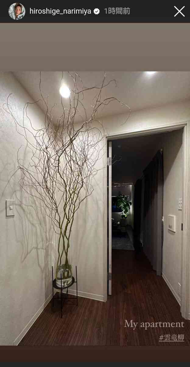 元・成宮寛貴さん、自宅の玄関を公開!2mの雲竜柳を飾り「オシャレ」「センスいい」