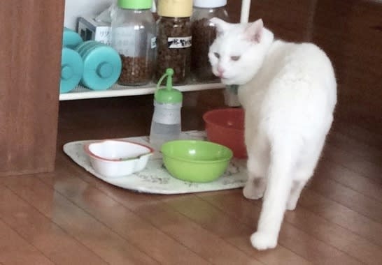 飲み屋で細かく割り勘にする女性に男性「今度1杯奢って」も 女性から放った“衝撃の一言”が話題