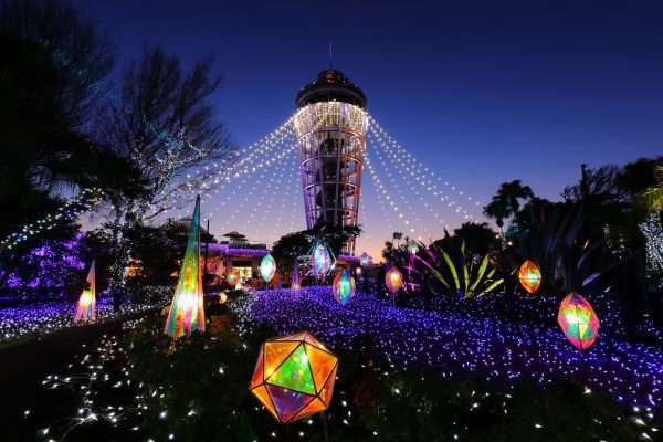 冬を彩る光！　夜景評論家がオススメする「イルミネーション5選」