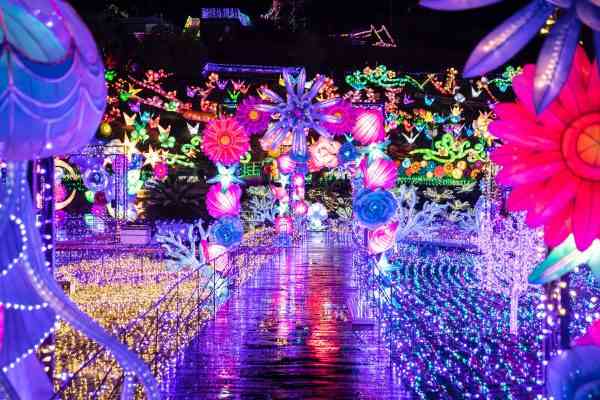 冬を彩る光！　夜景評論家がオススメする「イルミネーション5選」