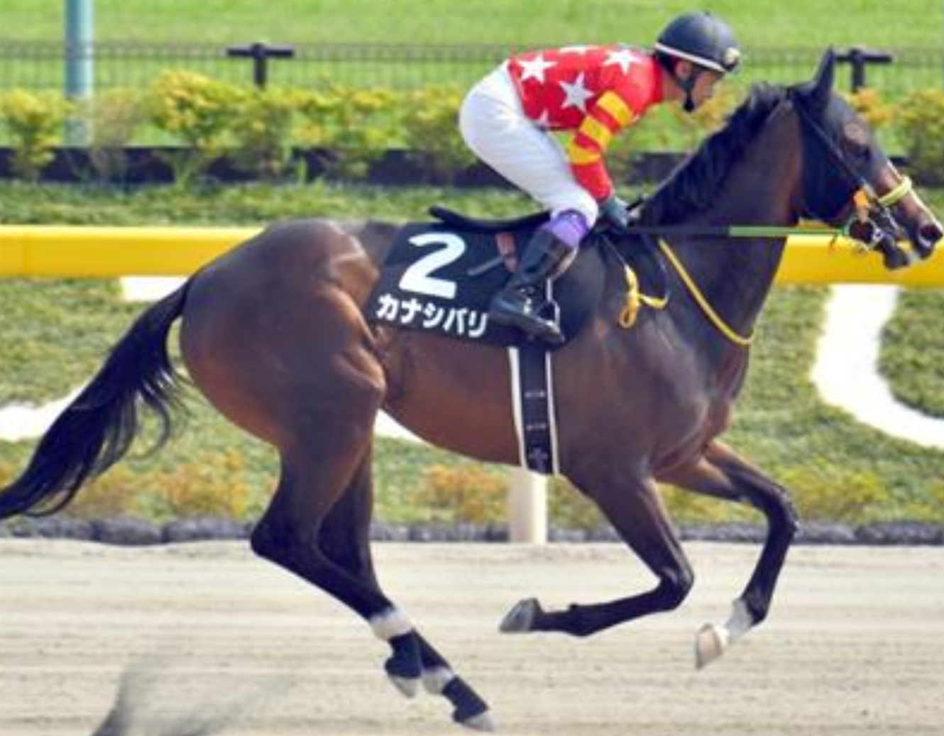 ユニークな名前の競走馬