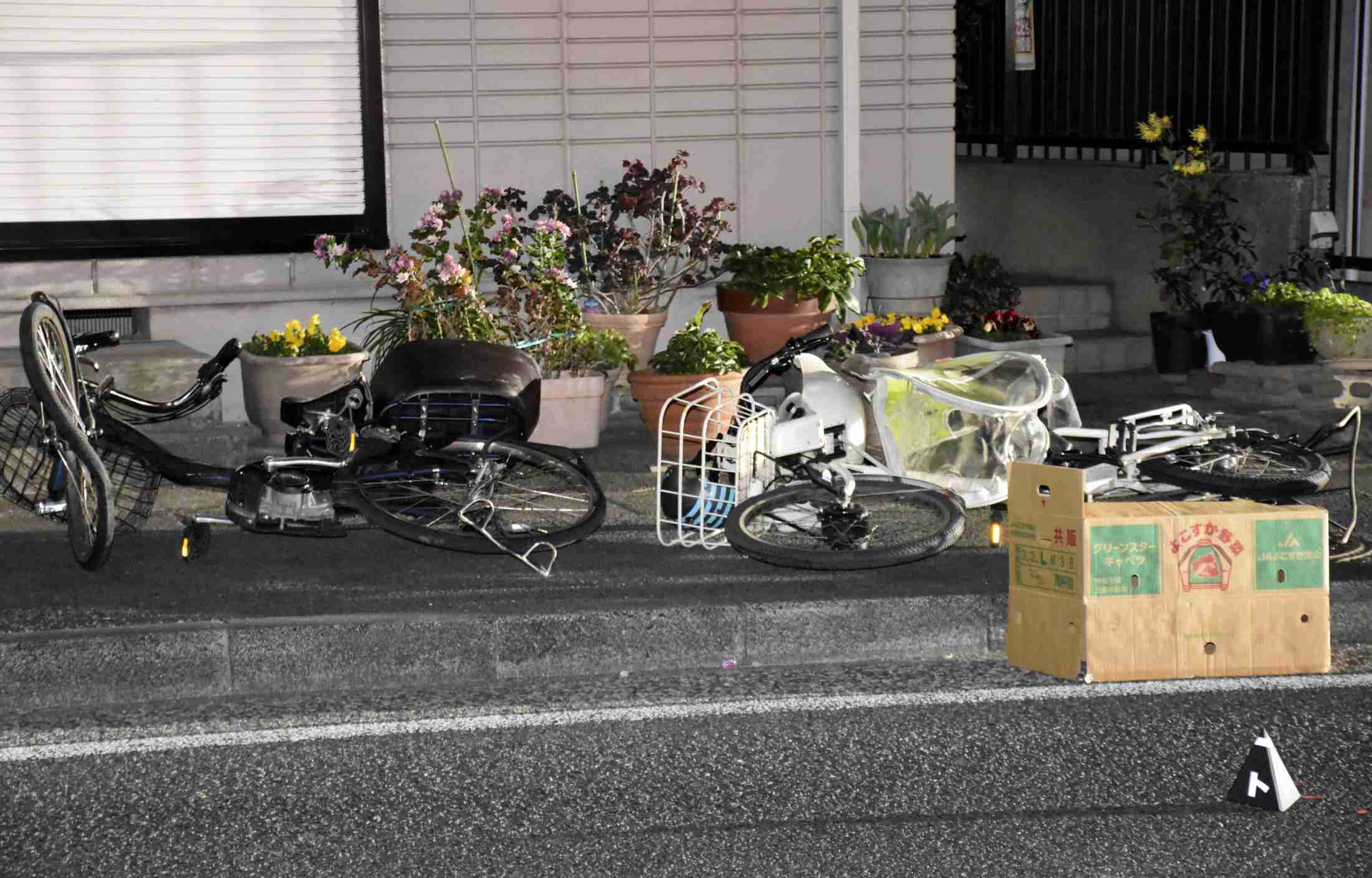 インコ触り3人死傷事故に禁錮刑　3年の判決、3歳児ら2人死亡（共同通信） - Yahoo!ニュース