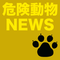 （千葉）市川市大野町４丁目でイヌ逃走　３月８日朝 ｜ 危険動物ニュース